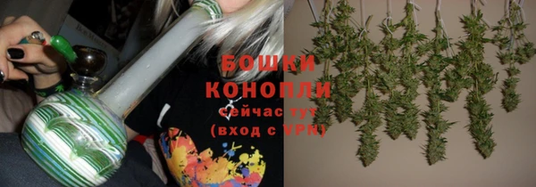 эйфоретик Арсеньев