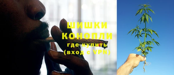 прущие крисы Армянск