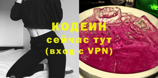 амф Снежногорск
