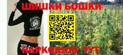 шишки Балахна