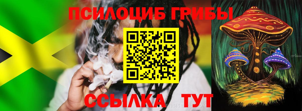 Галлюциногенные грибы Psilocybe  Вход с VPN  Аша 