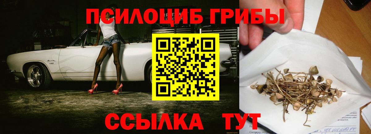 Псилоцибиновые грибы GOLDEN TEACHER Аша